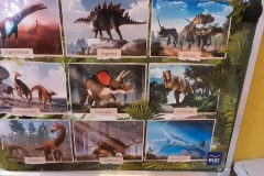 dzien-dinozaura2023-4